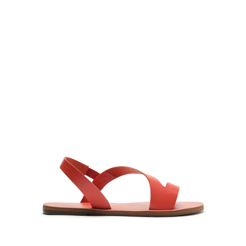 RASTEIRA ATANADO RED