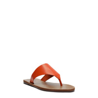 RASTEIRA ATANADO PAPAYA