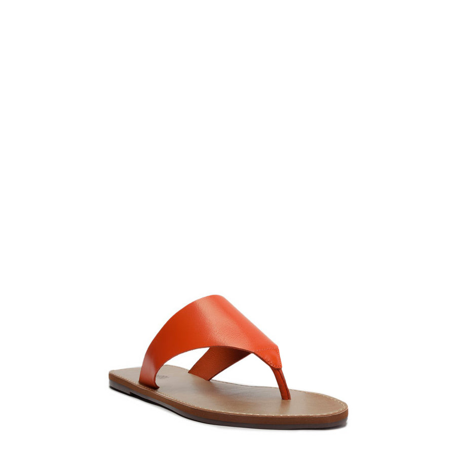 RASTEIRA ATANADO PAPAYA