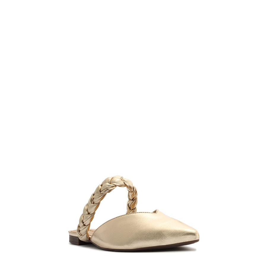 MULE MESTIZO OURO CLARO