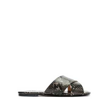 RASTEIRA OLYMPIA ACO