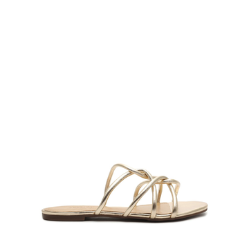 RASTEIRA MESTIZO OURO