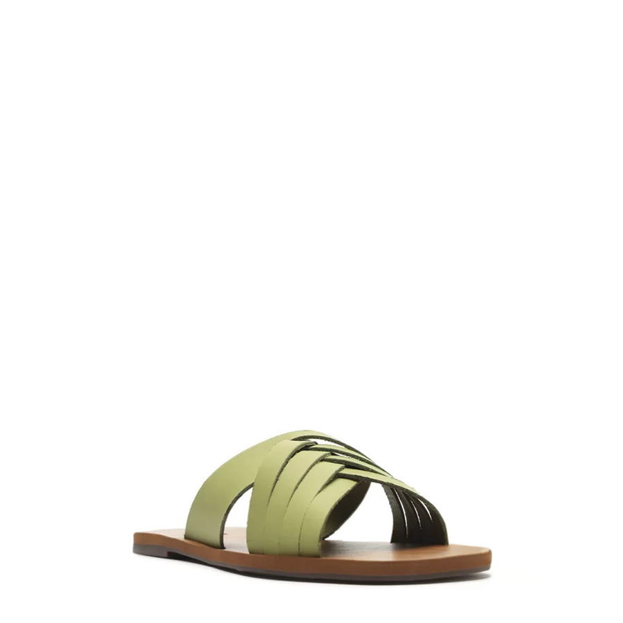 RASTEIRA ATANADO PRADO