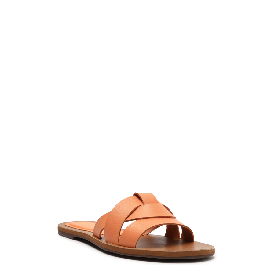 RASTEIRA ATANADO SOLAR