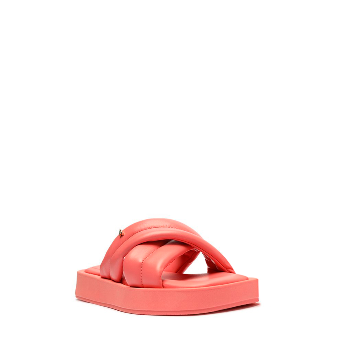 RASTEIRA ECO STRETCH CONFETE