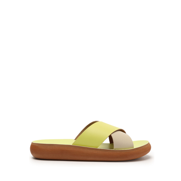 RASTEIRA ATANADO LEMON / BONE