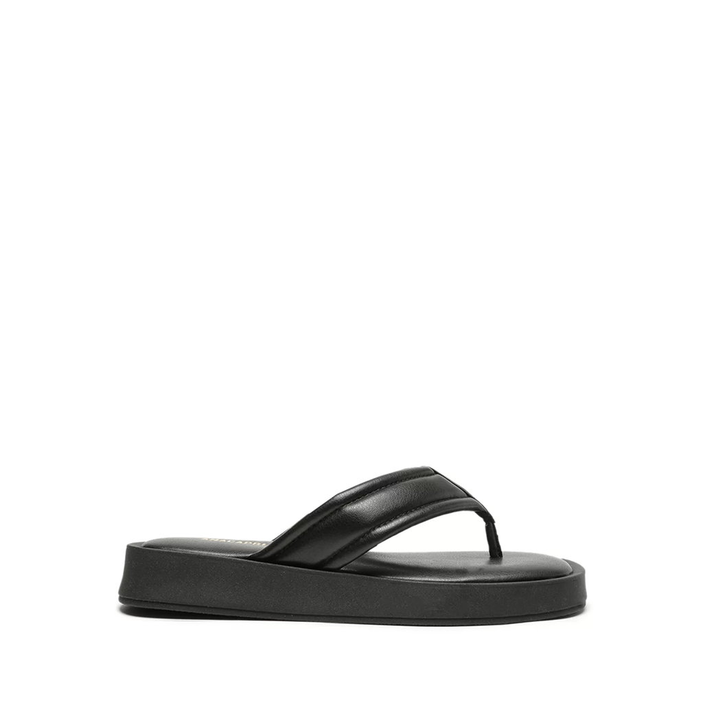 RASTEIRA POP NAPA PRETO